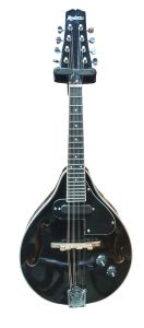 MANDOLINE ELECTRO-ACOUSTIQUE NEUVE MADERA 